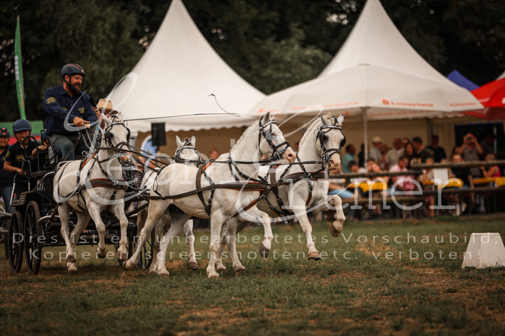 SoShow00312 | Leoni Ertmer Photography - Realisiert mit Pictrs.com