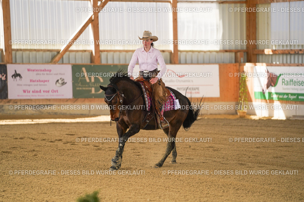 DSC06856 | Pferdegrafie