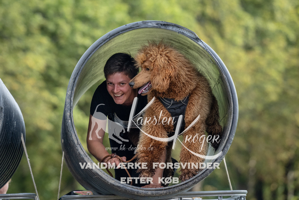 1020_ZZ91813 | kk-dogfotos
