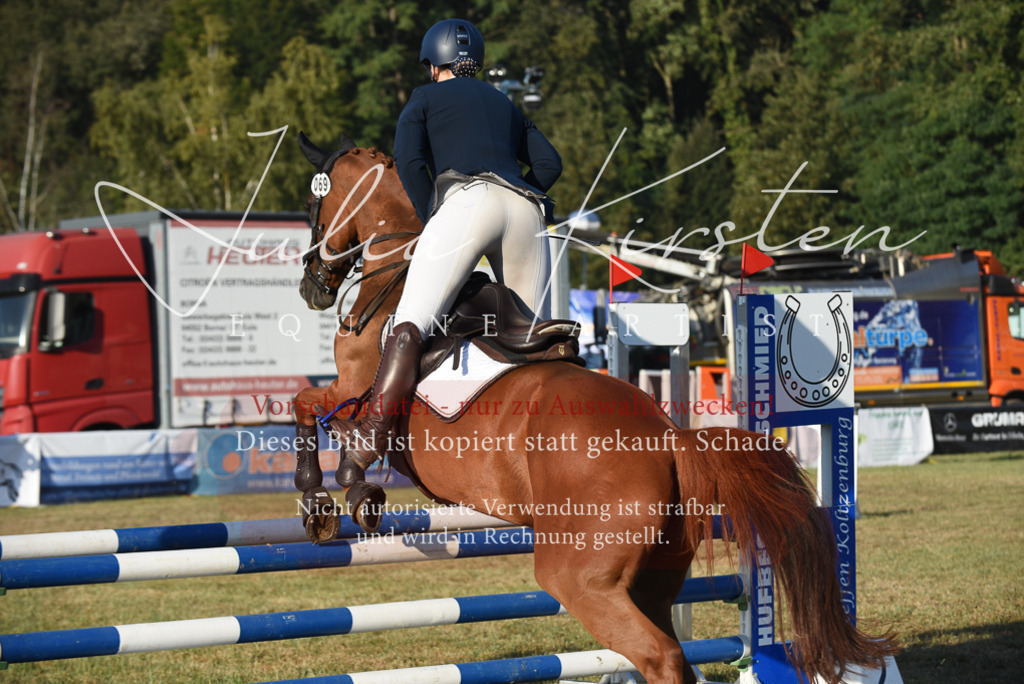 DSC_4900 | Pferde- und Turnierfotografie in Westsachsen. Pferdeportraits, Auftragszeichnungen und intuitive Kunst.