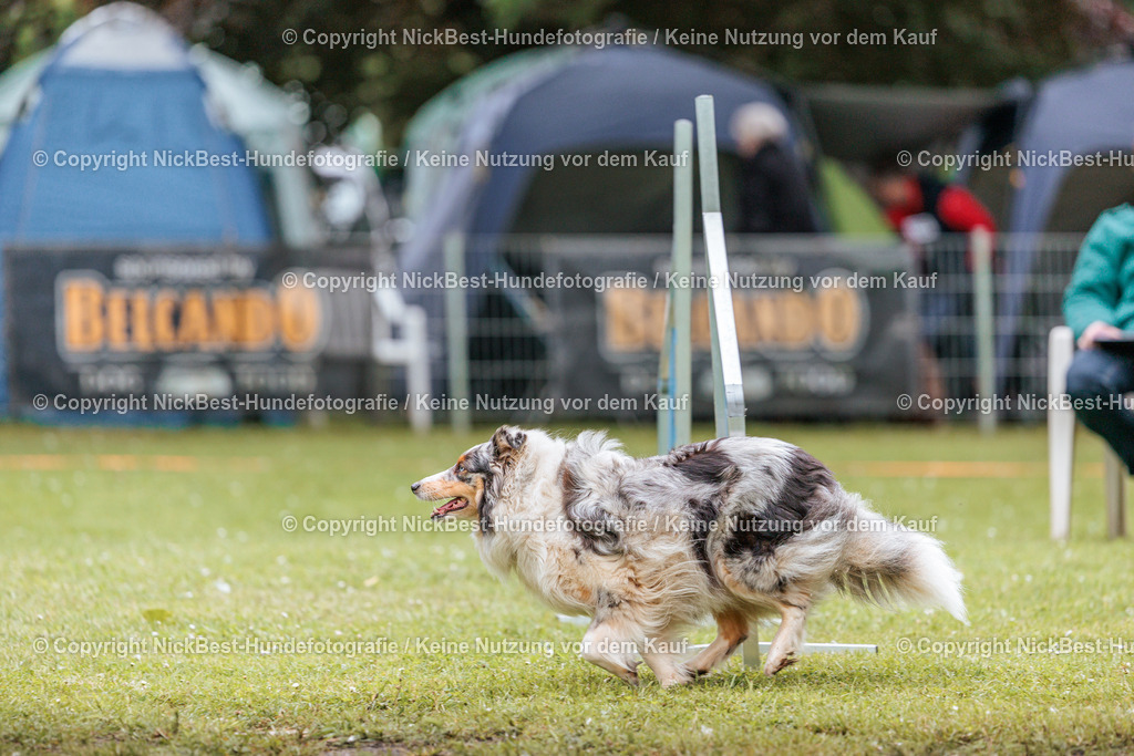 RO-Blumenthal-2026-Nickbest-Hundefotografie-2928 | Dein Hund! Dein Moment! Deine Erinnerungen! Hundefotografie in Bremen Blumenthal. Ich fange die besonderen Momente deines Vierbeiners ein – ob Indoor mit Blitzanlage oder in der freien Natur. Sicher dir dein Moment und dein Termin für eure Erinnerungen.