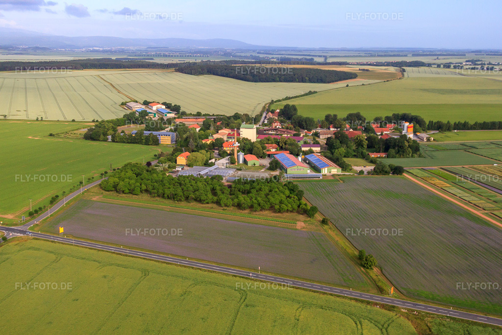 Luftbild: Dorfansicht von Osten mit Nordsaat Saatzucht GmbH im Ortsteil Böhnshausen in Halberstadt im Bundesland Sachsen-Anhalt in Deutschland. Foto: IMG_58364.jpg vom 30.06.2013 durch Werner Riehm/FLY-FOTO.deAuflösung des Originals: 4752 x 3168 pxNordsaat Saatzucht GmbH: Nordsaat