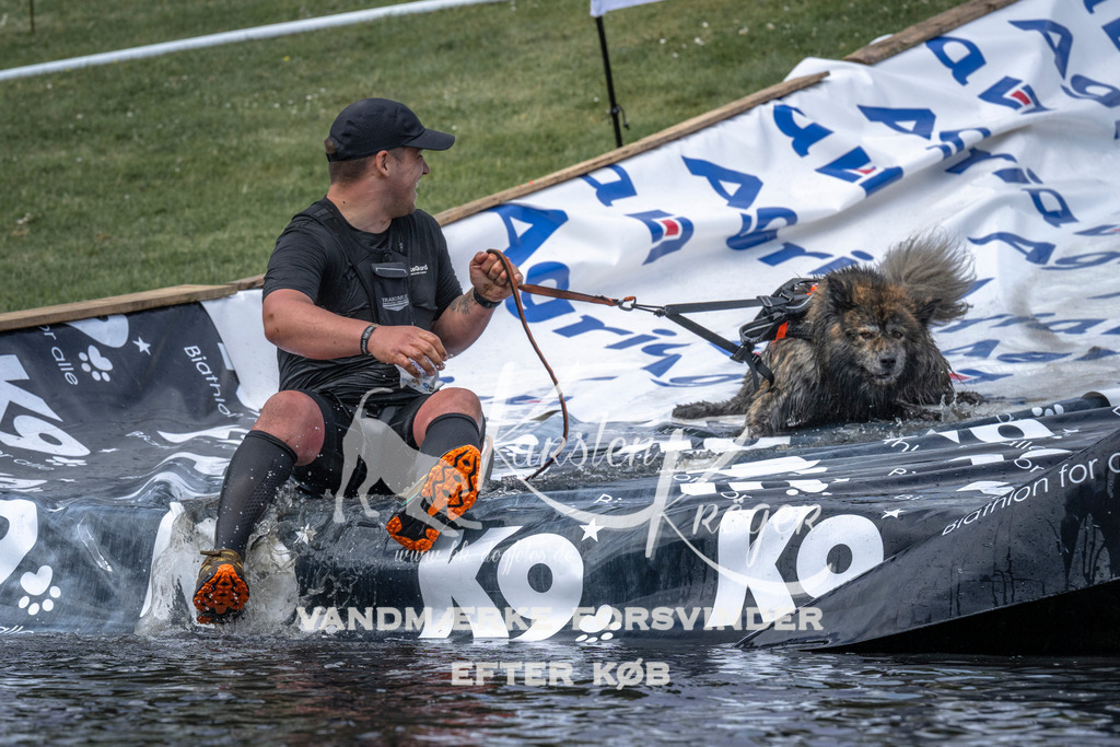 1129_ZZ92517 | kk-dogfotos