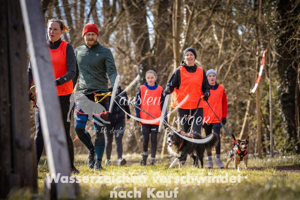 0913_ZZ94234 | kk-dogfotos