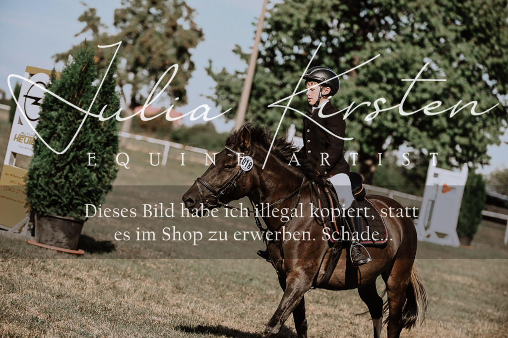 DSC_9460 | Pferde- und Turnierfotografie in Westsachsen. Pferdeportraits, Auftragszeichnungen und intuitive Kunst.