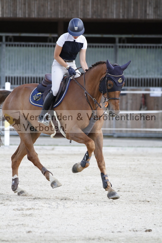 _MG_5341 | equestrian-live-com