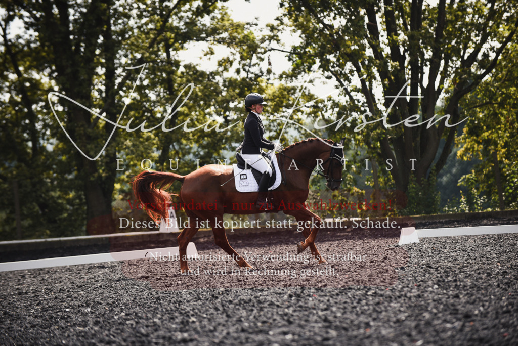 DSC_4192 | Pferde- und Turnierfotografie in Westsachsen. Pferdeportraits, Auftragszeichnungen und intuitive Kunst.