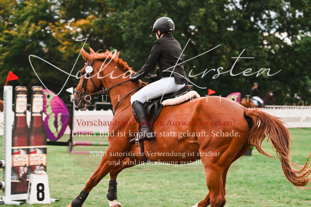 DSC_5855 | Pferde- und Turnierfotografie in Westsachsen. Pferdeportraits, Auftragszeichnungen und intuitive Kunst.