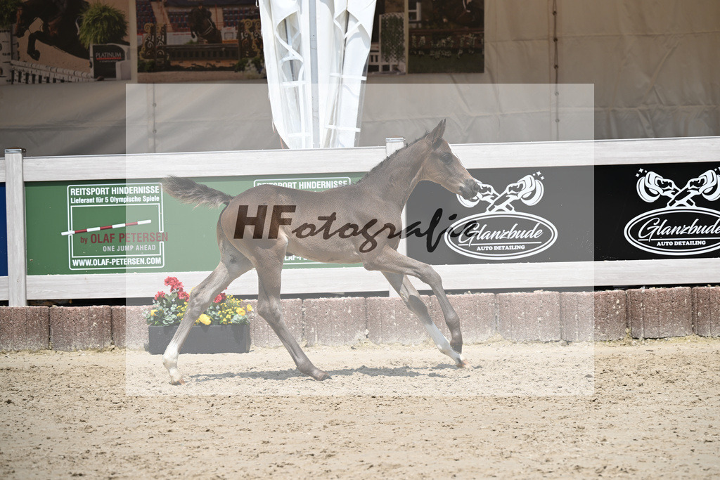 Seattle x Finest_HF_Geiger_12250760 | hf-fotografie - Realisiert mit Pictrs.com
