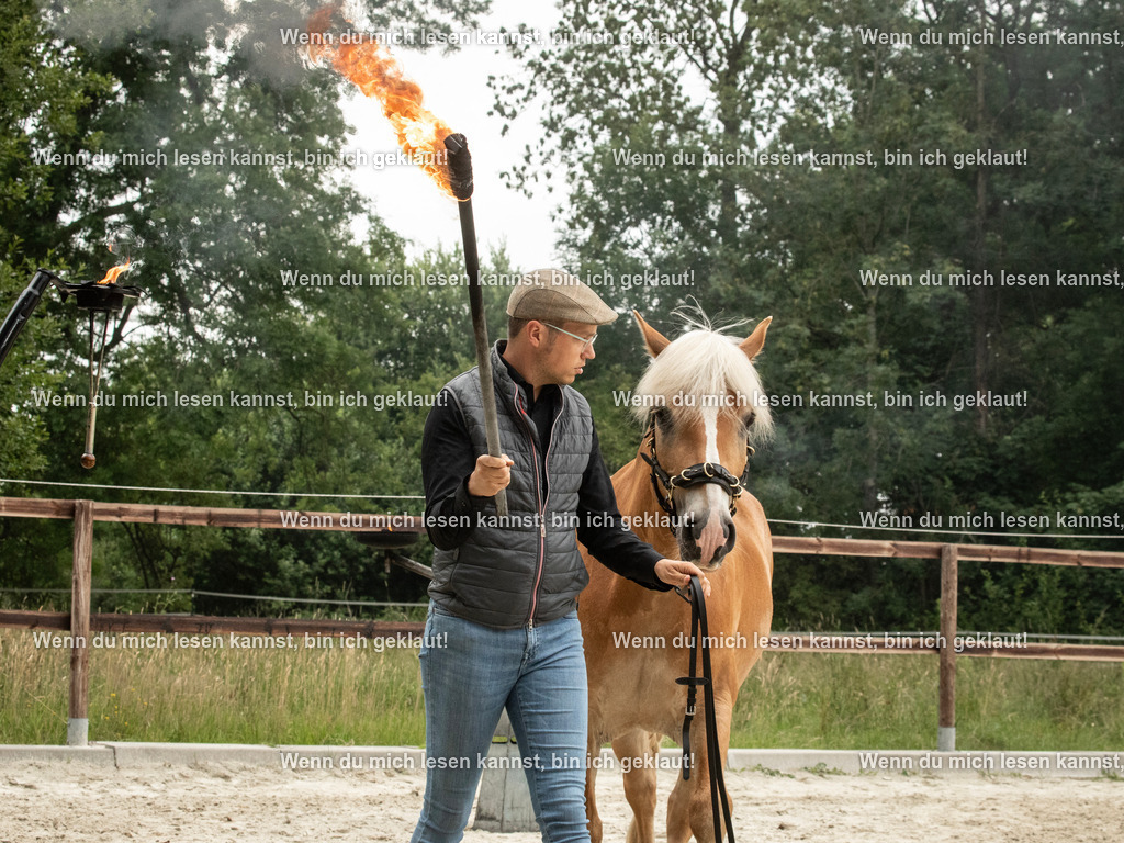 598A7259 | photographylinaismer - Realisiert mit Pictrs.com