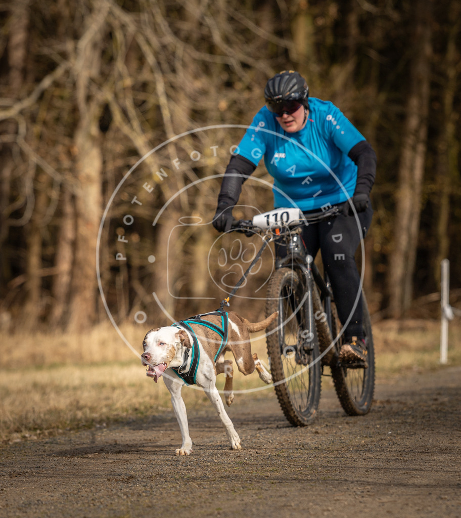 DV3A4288 | Hundefotografie, Tierfotograf, Pfotenfotografie, Fotoshooting Hund, Hunde Portrait, Hundesport, Hundeportraits, Heideshooting, Hunde, Sportfotograf, Hundefotograf, Turnierhundsport, THS,  - Realisiert mit Pictrs.com