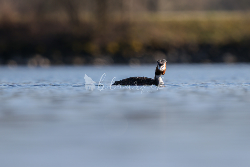  waterslide-0744 | Frühlingserwachen