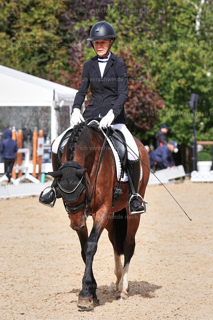 05-146-DRESSUR M_  -Marixx-4987 | working equitationturnier fotograf videograf stoibphotography marixx film working equitation deutschland reitsport turnierfotografie eventfotografie equestrian events