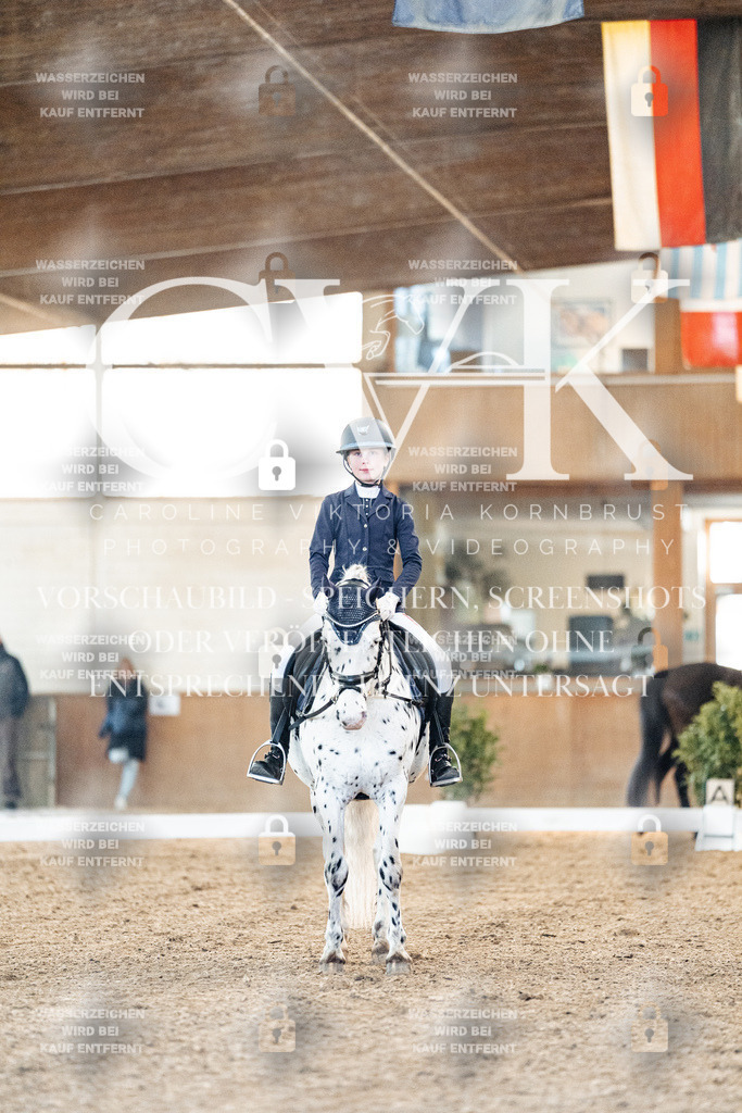 CK906801 | Turnierfotografie Pferdefotografie Trier Rheinland-Pfalz Pferdesport Reitsport Tierfotografie Sportfotografie Pferdevideo Pferdevideografie Equestrianvideography equestrianphotography  - Realisiert mit Pictrs.com