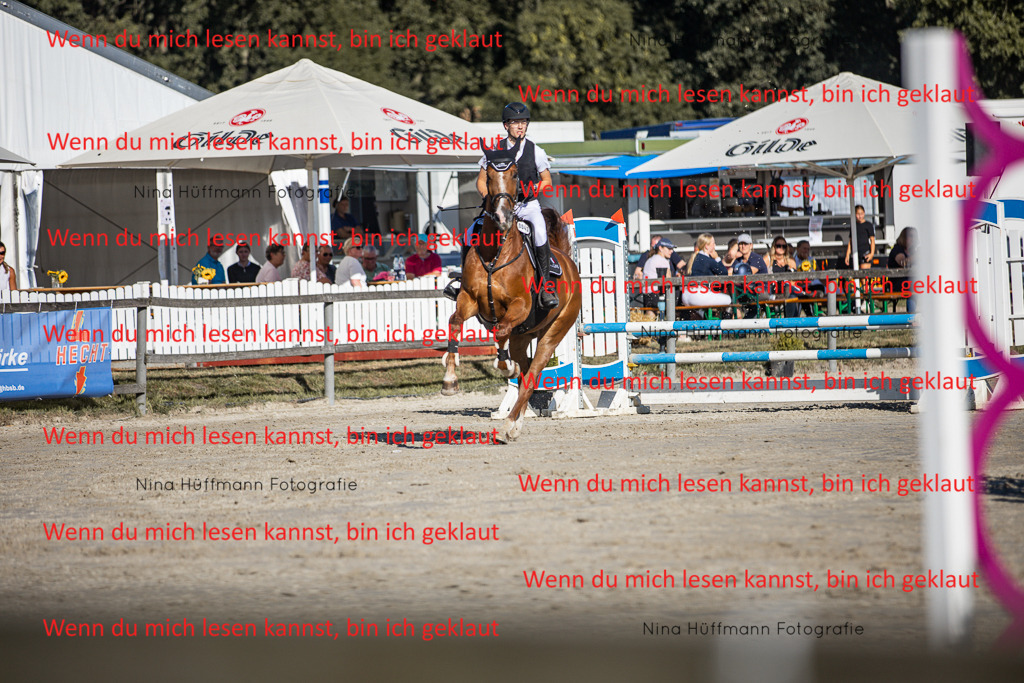 BK1A7545 | Turnierbilder Turnierfotos Nina Hüffmann Turnierfotografie Pferdefotografie Tierzeichnung Haustierzeichnung Pferdezeichnung Hundezeichnung Videograf  - Realisiert mit Pictrs.com