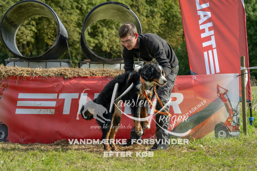 1039_ZZ92717 | kk-dogfotos