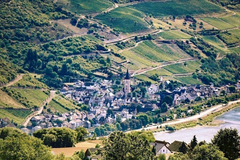 Lorch-8211 | Blick auf Lorch - Realisiert mit Pictrs.com