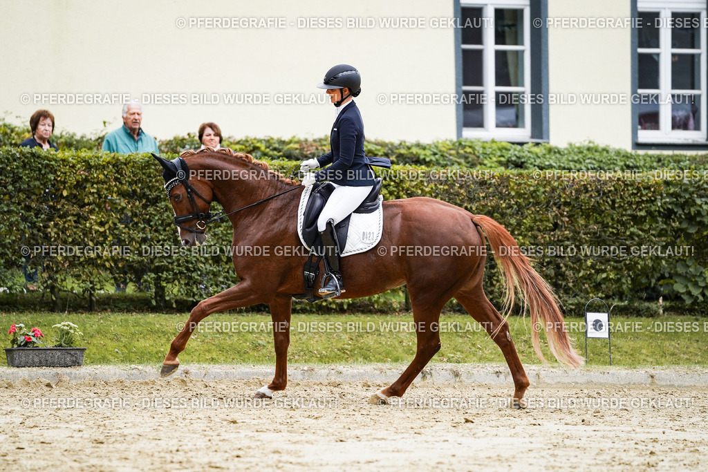 DSC07013 | Pferdegrafie