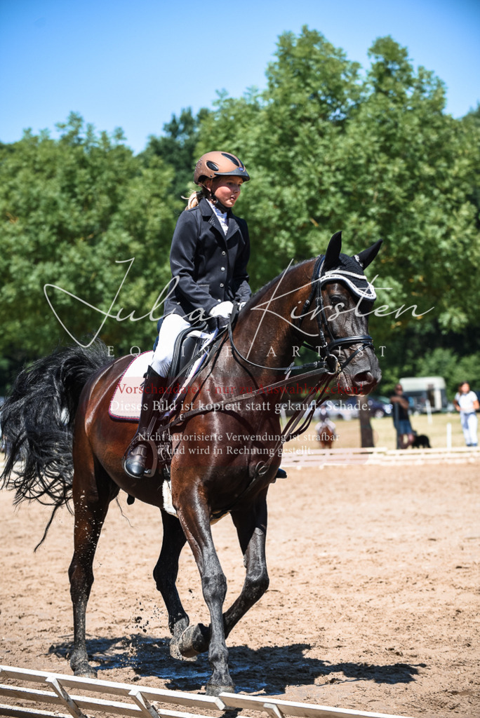 DSC_2831 | Pferde- und Turnierfotografie in Westsachsen. Pferdeportraits, Auftragszeichnungen und intuitive Kunst.