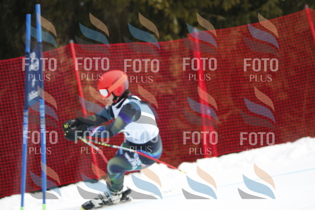 D4809 | holidayphoto