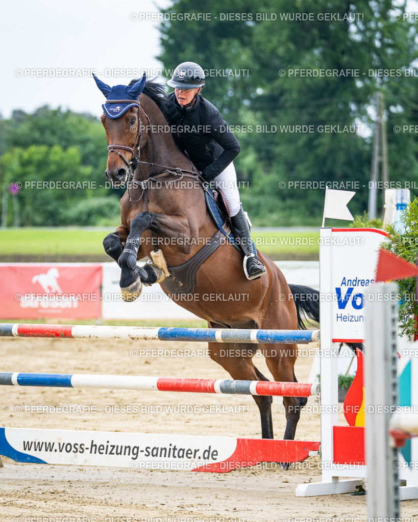 DSC04728 | Pferdegrafie