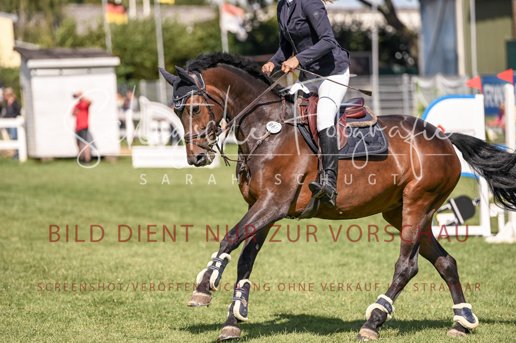 Schugtsche-Düren.2024-09.Springprf.L-66 | Schugtsche Fotografie - Realisiert mit Pictrs.com