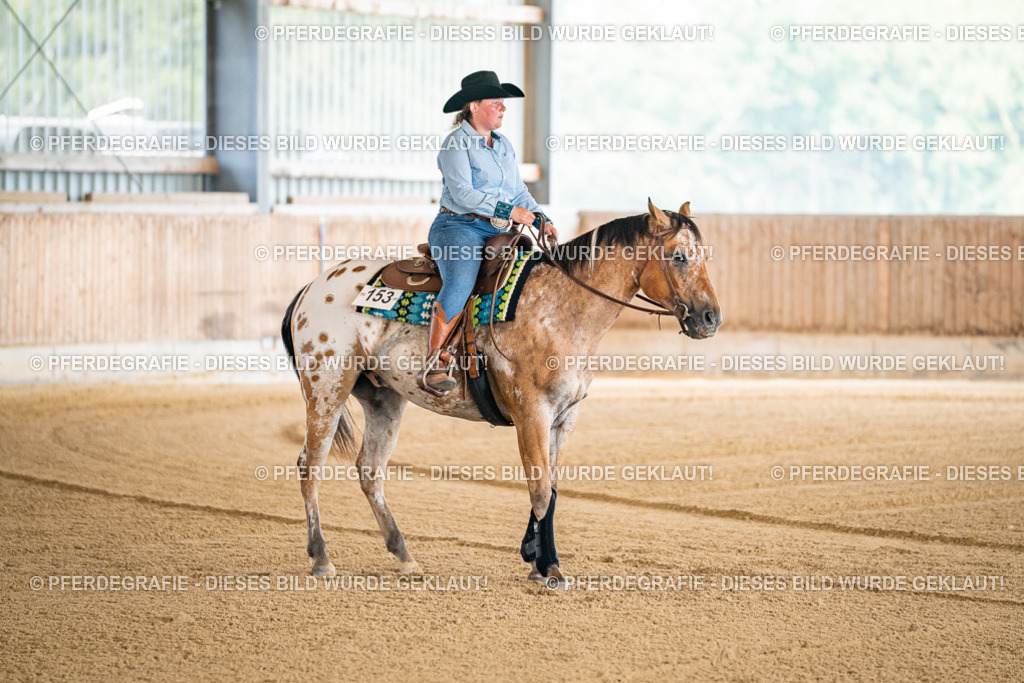 DSC03902 | Pferdegrafie