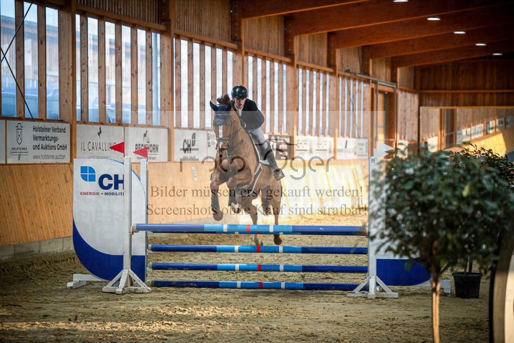 DOS_1136 | Entdecke hochwertige Reitturnierfotos von Foto Oger. Professionell, emotional und authentisch – jetzt Lieblingsmomente im Shop bestellen.Deutschlandweite Turnierfotografie. - Realisiert mit Pictrs.com