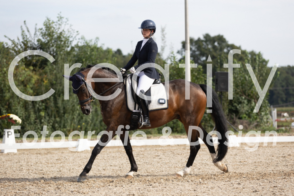 IMG_4078 | Creatify Fotografie