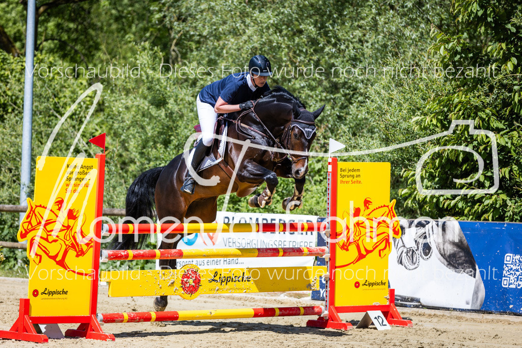 Donop24-Stil-L-059 | MomenTaufnahmen Pferdesportfotos