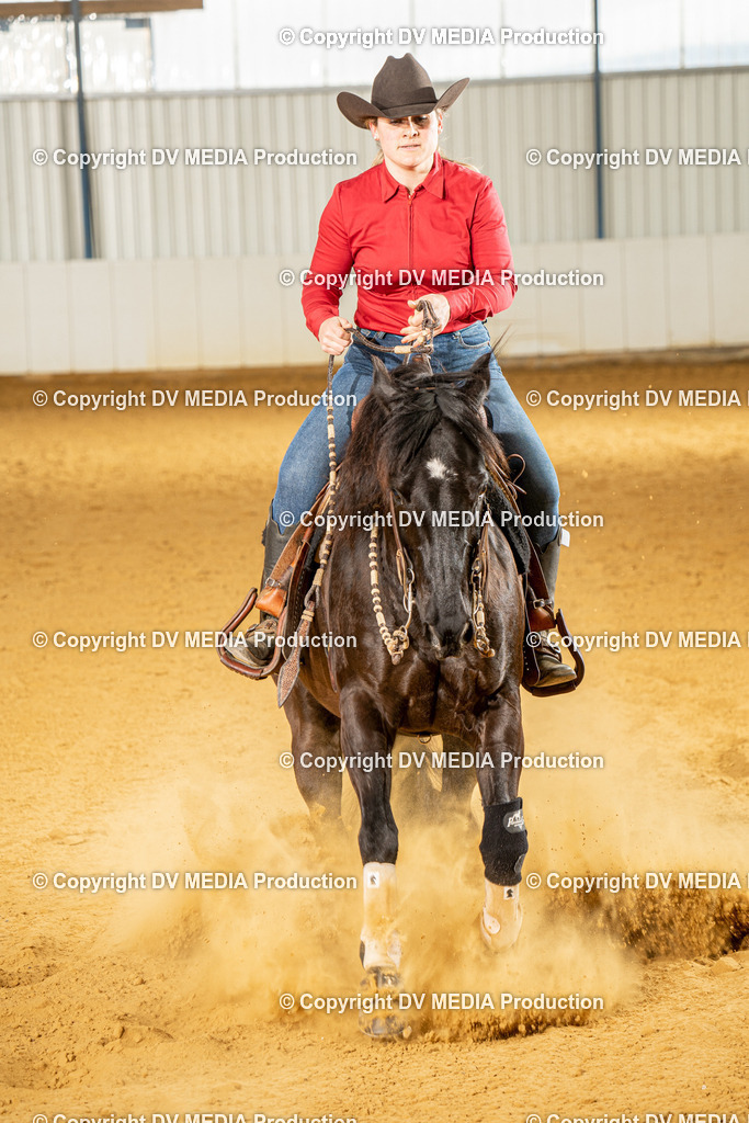 MIT01126 | dv-media-shop - Realisiert mit Pictrs.com