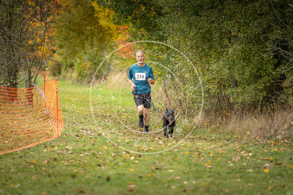 Pfotenfotografie_DV3A3959 | Hundefotografie, Tierfotograf, Pfotenfotografie, Fotoshooting Hund, Hunde Portrait, Hundesport, Hundeportraits, Heideshooting, Hunde, Sportfotograf, Hundefotograf, Turnierhundsport, THS,  - Realisiert mit Pictrs.com