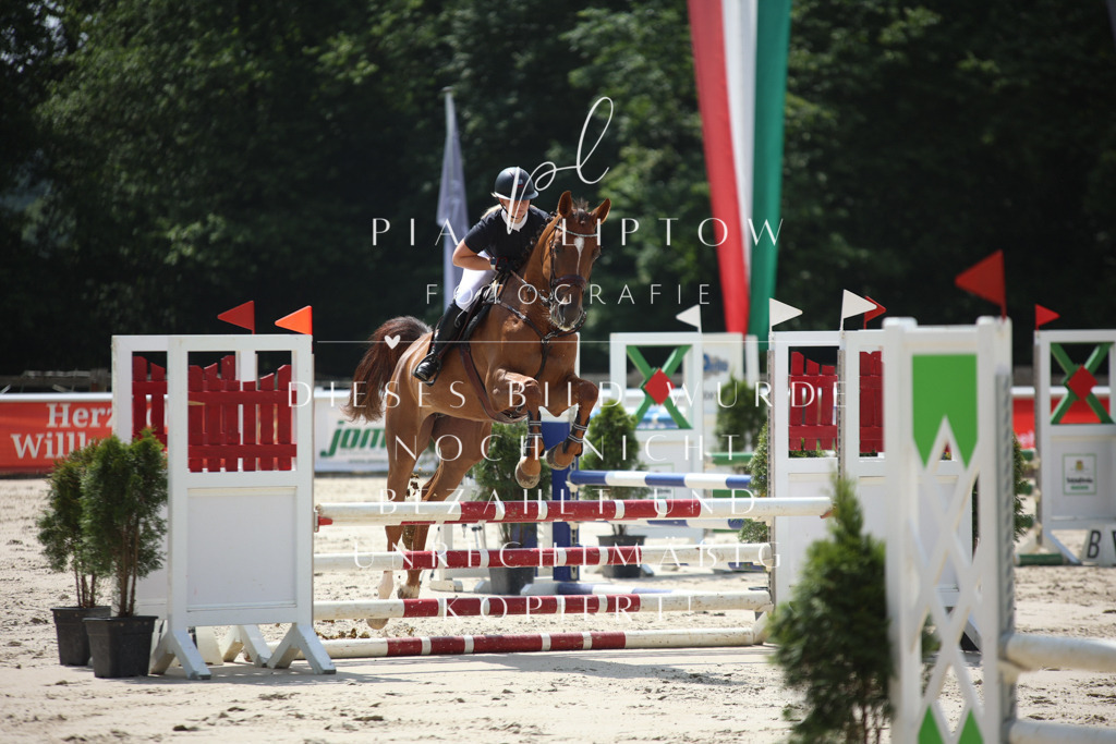 IMGS0336 | pl-fotografie