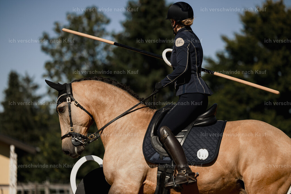 Diana11_FHC2025-27537 | working equitationturnier fotograf videograf stoibphotography marixx film working equitation deutschland reitsport turnierfotografie eventfotografie equestrian events