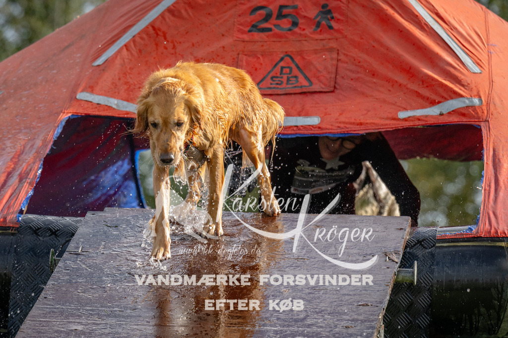 1213-92842 | kk-dogfotos