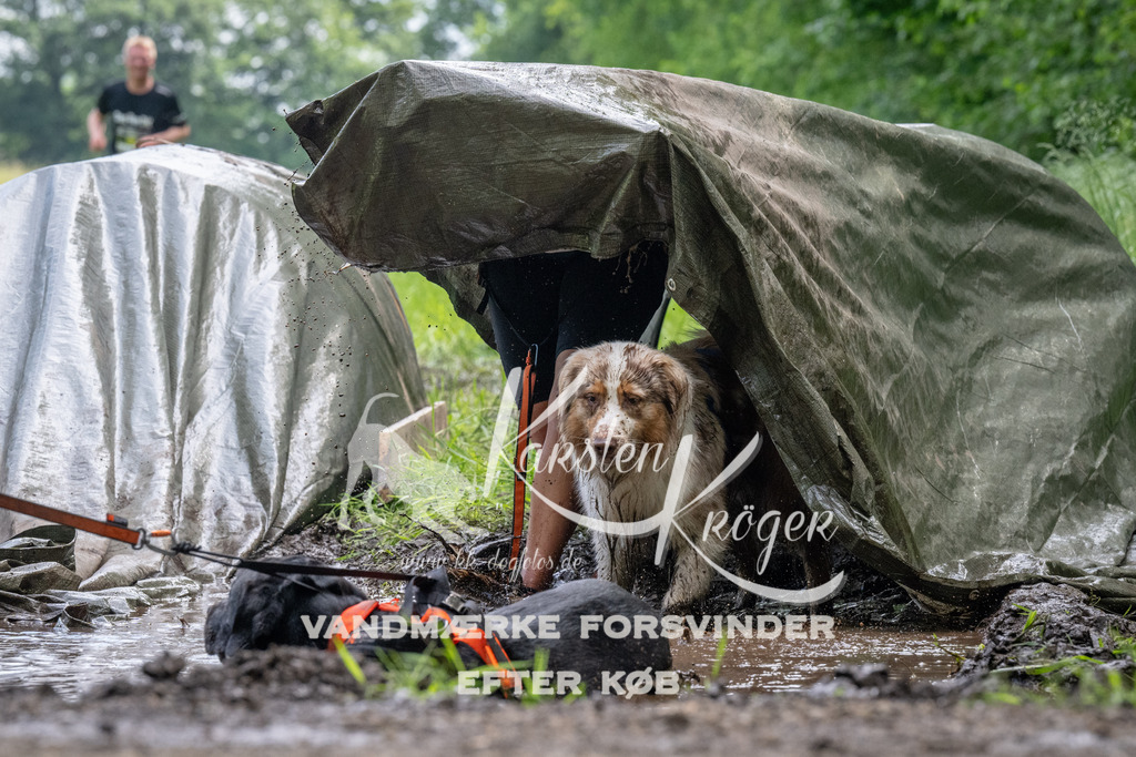 1137_ZZ93281 | kk-dogfotos