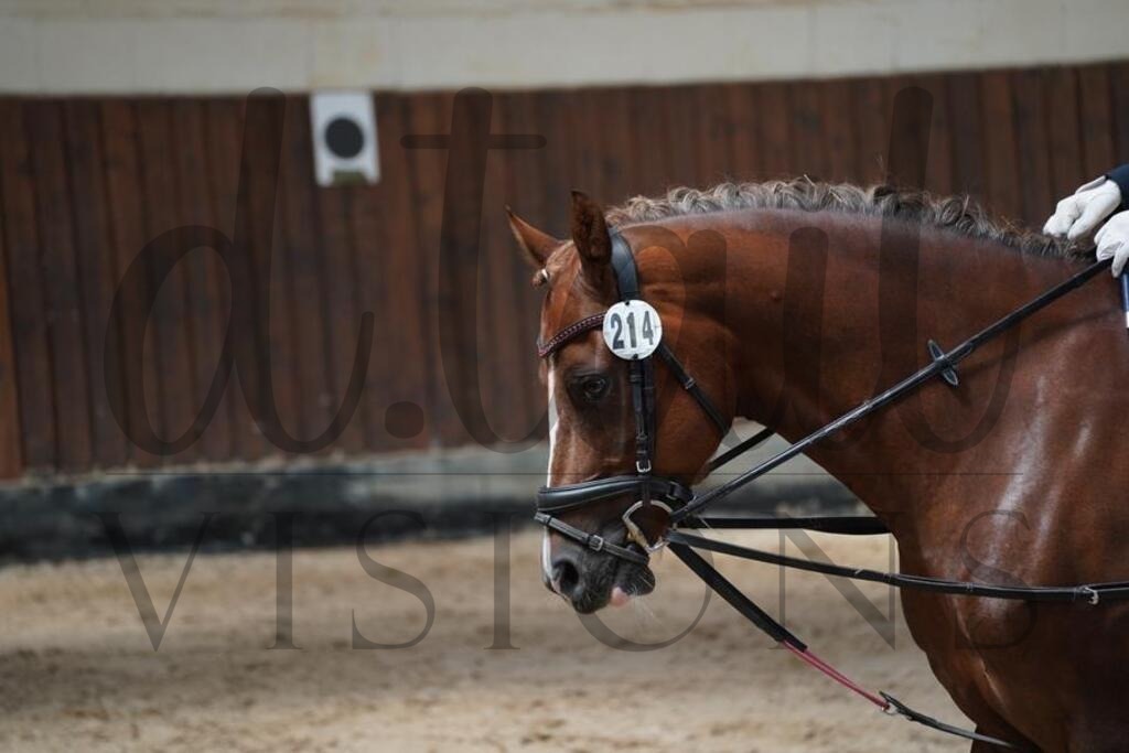 beckingen (537) | d.tail Visions - Shop - Realisiert mit Pictrs.com