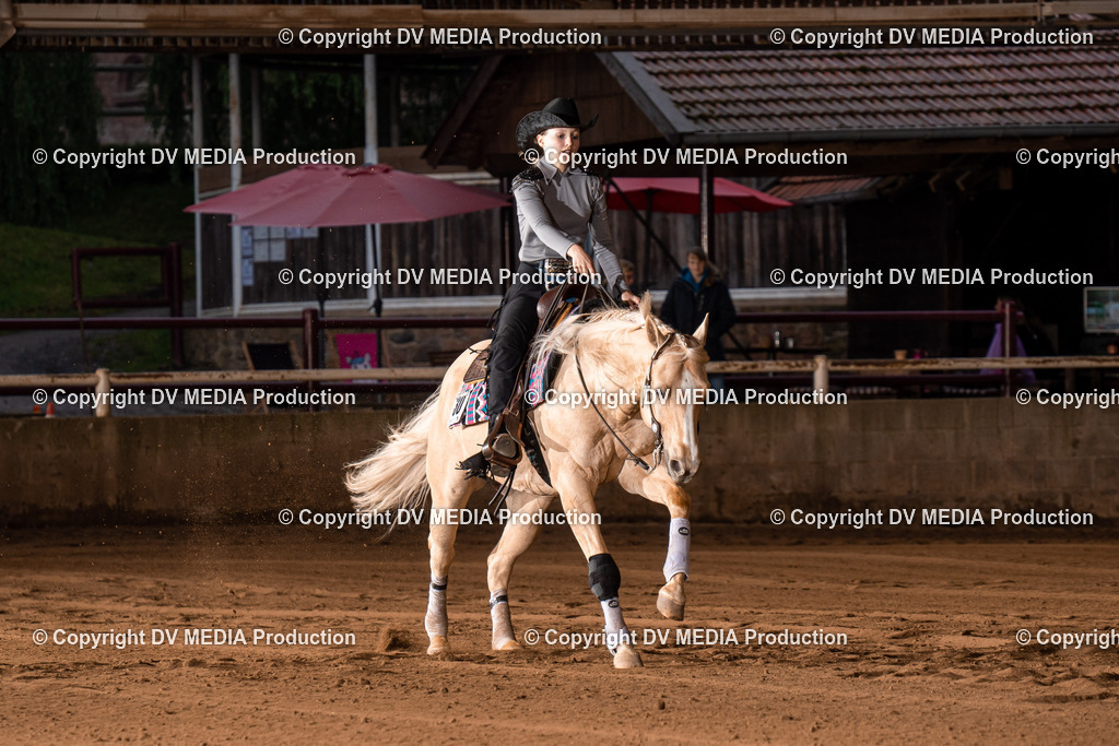 Erbach Tag 2-1099 | dv-media-shop - Realisiert mit Pictrs.com