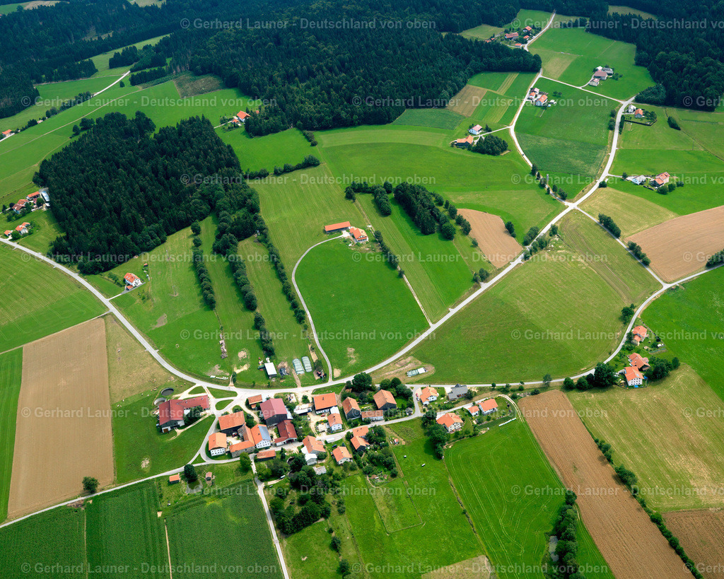 2725275 | Rosenberg