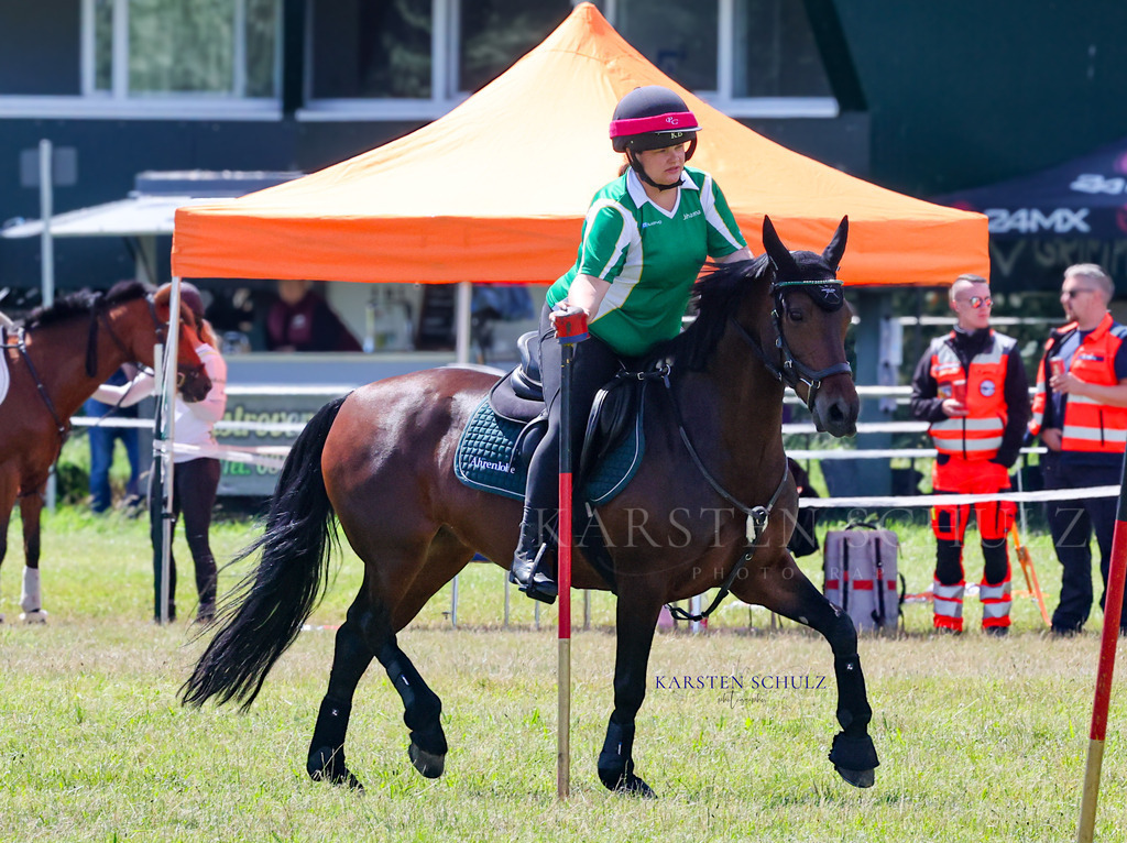 1B3A4253 | Reitsport Reiten