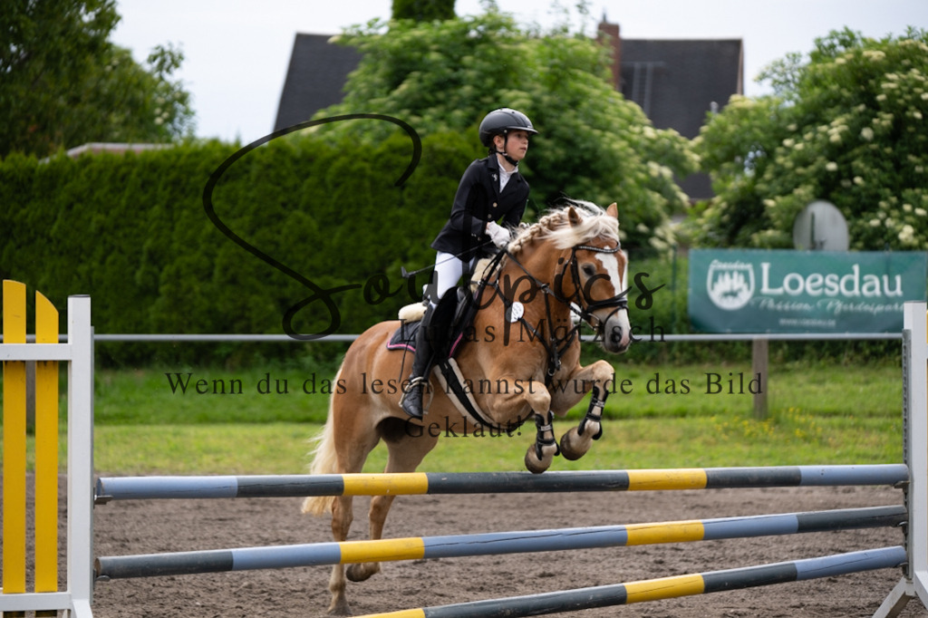 A7V03950 | Pferdefotograf