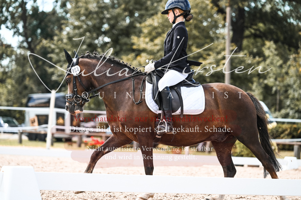 DSC_5718 | Pferde- und Turnierfotografie in Westsachsen. Pferdeportraits, Auftragszeichnungen und intuitive Kunst.