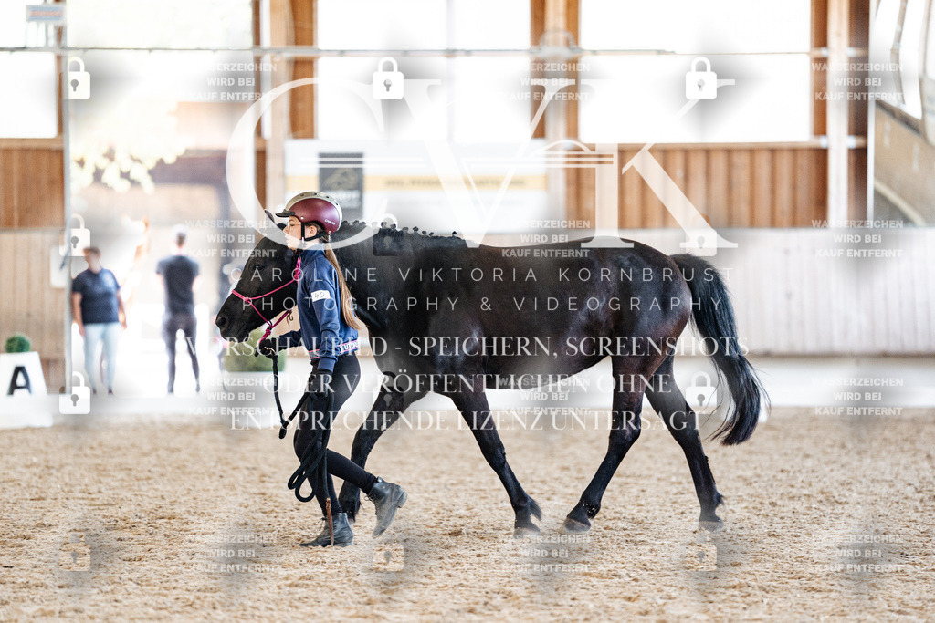 CK906823 | Turnierfotografie Pferdefotografie Trier Rheinland-Pfalz Pferdesport Reitsport Tierfotografie Sportfotografie Pferdevideo Pferdevideografie Equestrianvideography equestrianphotography  - Realisiert mit Pictrs.com