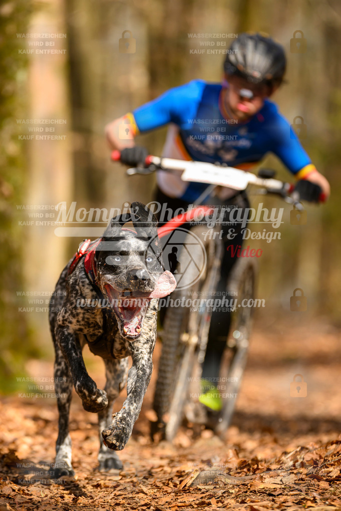 MompixPhotography_Habay2025_SA_SCO-44 | PayLife