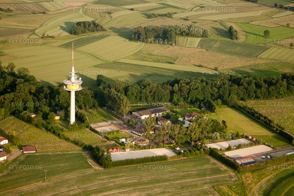 Luftbild: Gestüt Kaiserhof am Sendeamast im Ortsteil Legelshurst in Willstätt im Bundesland Baden-Württemberg in Deutschland. Foto: IMG_28913.jpg vom 14.06.2010 durch Werner Riehm/FLY-FOTO.de