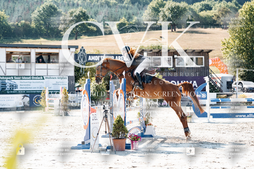 CK907942 | Turnierfotografie Pferdefotografie Trier Rheinland-Pfalz Pferdesport Reitsport Tierfotografie Sportfotografie Pferdevideo Pferdevideografie Equestrianvideography equestrianphotography  - Realisiert mit Pictrs.com