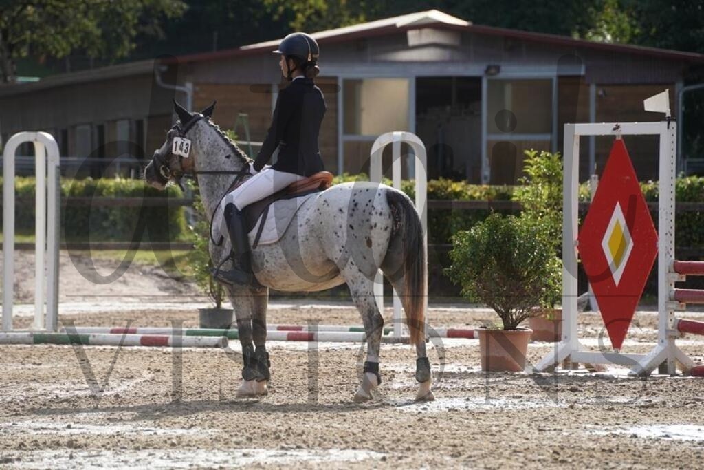 rveinoedsonntag (369) | d.tail Visions - Shop - Realisiert mit Pictrs.com