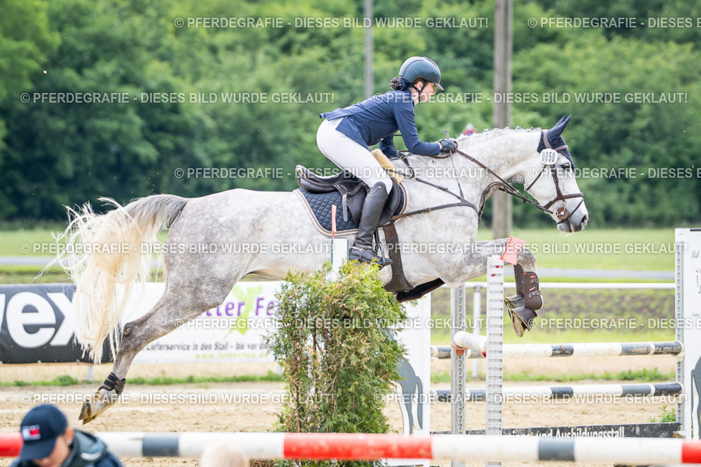 DSC05247 | Pferdegrafie