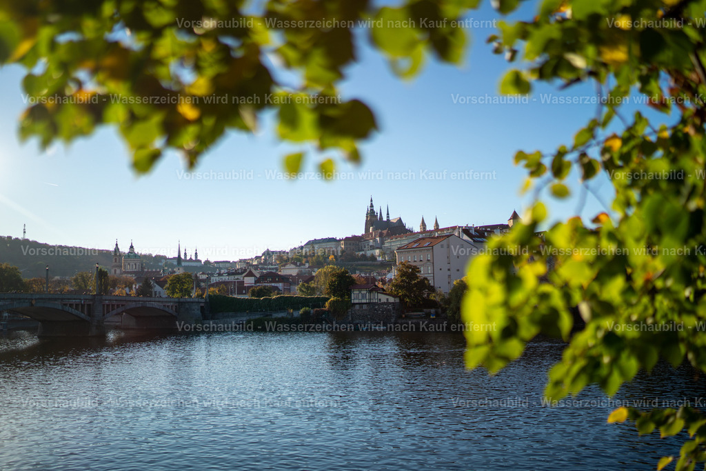 DSC03660 | marcuslinek