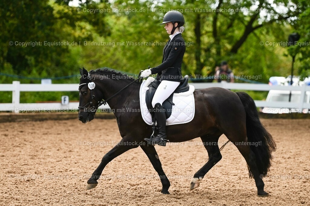 20230716_04_Dressurreiterprüfung Kl.A_0302 | equistock